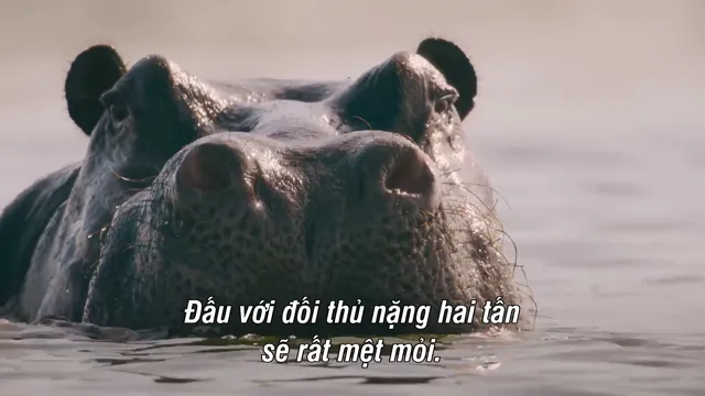 Hình ảnh phim Thế giới sống của chúng ta trên PhimMoiHot Hình ảnh phim Thế giới sống của chúng ta trên PhimMoiHot