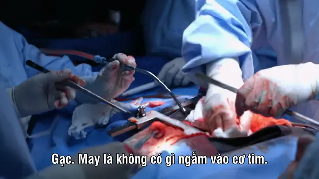 Xem phim NCIS (Phần 13) Vietsub HD tại PhimMoiHot Xem phim NCIS (Phần 13) Vietsub HD tại PhimMoiHot