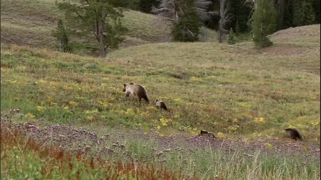 Xem Yellowstone tập 1 Vietsub tại PhimMoiHot Xem Yellowstone tập 1 Vietsub tại PhimMoiHot