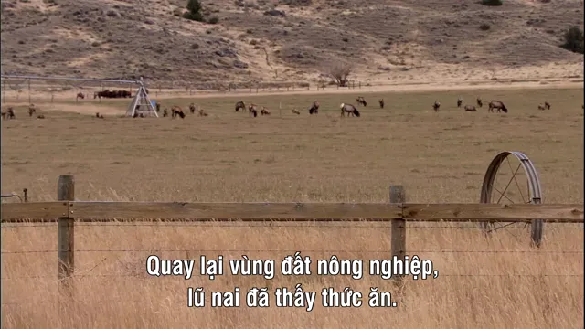 Yellowstone tập 1 Vietsub HD - PhimMoiHot Yellowstone tập 1 Vietsub HD - PhimMoiHot