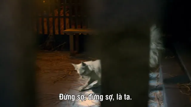 Đại Lý Tự Thiếu Khanh Du tập 11 Vietsub HD - PhimMoiHot Đại Lý Tự Thiếu Khanh Du tập 11 Vietsub HD - PhimMoiHot