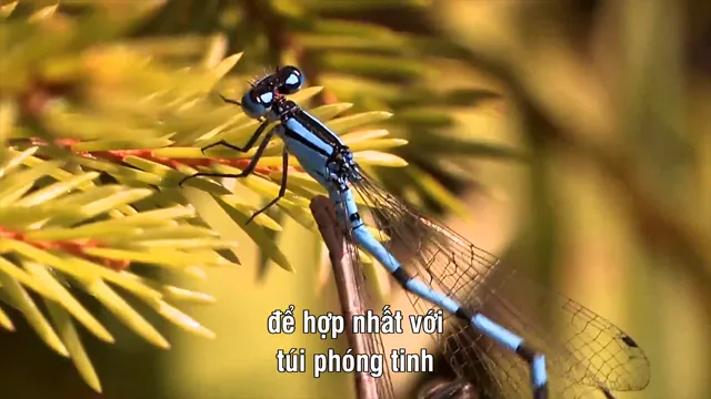 Hình ảnh phim Sky Hunters – The World of Dragonfly trên PhimMoiHot Hình ảnh phim Sky Hunters – The World of Dragonfly trên PhimMoiHot