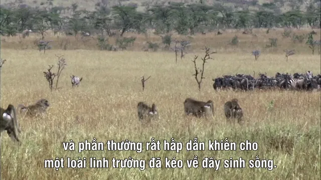 The Great Rift: Africa’s Wild Heart tập 1 Vietsub HD - PhimMoiHot The Great Rift: Africa’s Wild Heart tập 1 Vietsub HD - PhimMoiHot