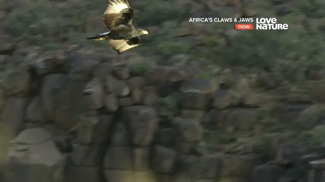 Africa’s Claws and Jaws 2017 Vietsub HD - PhimMoiHot Africa’s Claws and Jaws 2017 Vietsub HD - PhimMoiHot