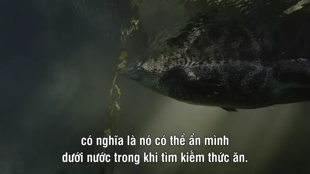 Xem phim America the Beautiful Vietsub HD tại PhimMoiHot Xem phim America the Beautiful Vietsub HD tại PhimMoiHot