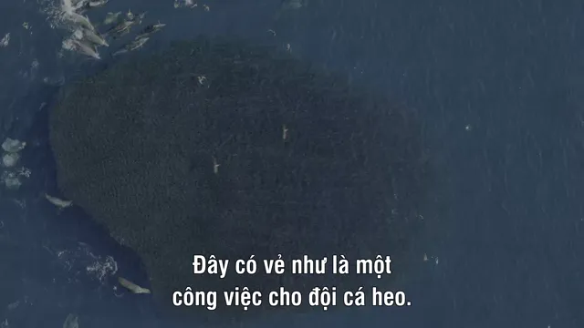 Hình ảnh phim America the Beautiful trên PhimMoiHot Hình ảnh phim America the Beautiful trên PhimMoiHot
