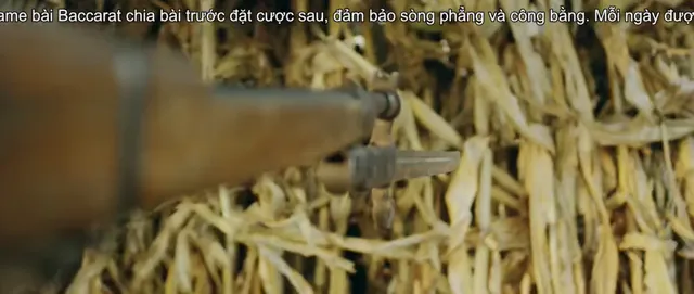 Hình ảnh phim Anh hùng máu nóng trên PhimMoiHot Hình ảnh phim Anh hùng máu nóng trên PhimMoiHot