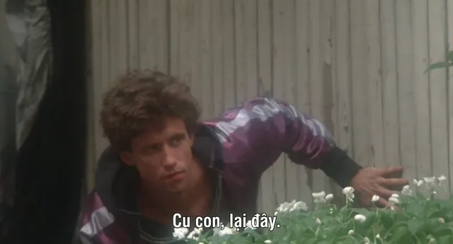 Perfect Strangers 1984 Vietsub HD - PhimMoiHot Perfect Strangers 1984 Vietsub HD - PhimMoiHot