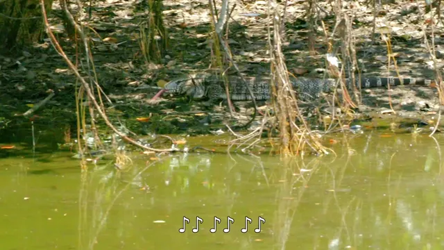 Xem phim Jaguarland Vietsub HD tại PhimMoiHot Xem phim Jaguarland Vietsub HD tại PhimMoiHot