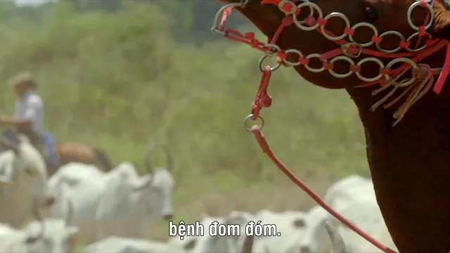 Hình ảnh phim Jaguarland trên PhimMoiHot Hình ảnh phim Jaguarland trên PhimMoiHot