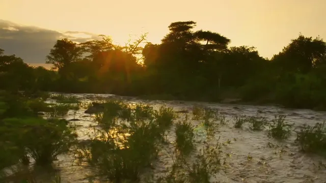 Xem Serengeti tập 6 Vietsub tại PhimMoiHot Xem Serengeti tập 6 Vietsub tại PhimMoiHot