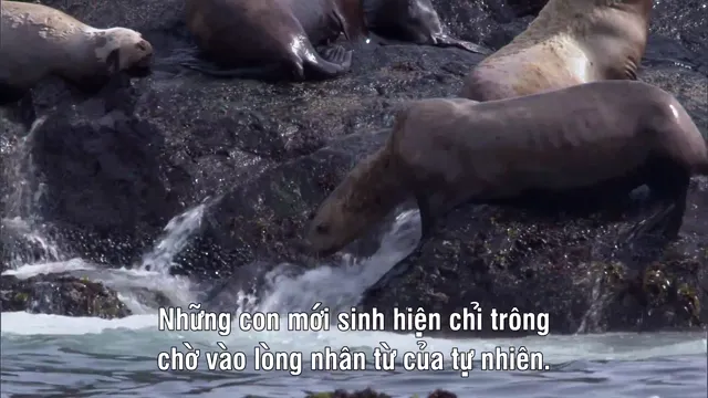 Hình ảnh Nature’s Great Events tập 5 trên PhimMoiHot Hình ảnh Nature’s Great Events tập 5 trên PhimMoiHot