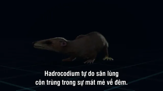 Xem David Attenborough’s Rise of Animals: Triumph of the Vertebrates tập 2 Vietsub tại PhimMoiHot Xem David Attenborough’s Rise of Animals: Triumph of the Vertebrates tập 2 Vietsub tại PhimMoiHot
