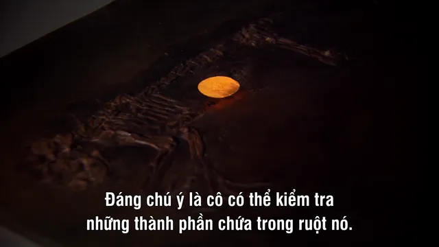David Attenborough’s Rise of Animals: Triumph of the Vertebrates tập 2 Vietsub HD - PhimMoiHot David Attenborough’s Rise of Animals: Triumph of the Vertebrates tập 2 Vietsub HD - PhimMoiHot