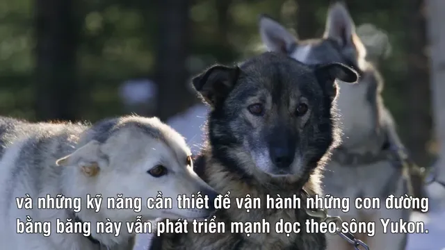 Xem Những Dòng Sông Hùng Vĩ Trên Trái Đất tập 1 Vietsub tại PhimMoiHot Xem Những Dòng Sông Hùng Vĩ Trên Trái Đất tập 1 Vietsub tại PhimMoiHot