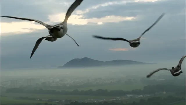 Earthflight tập 2 Vietsub HD - PhimMoiHot Earthflight tập 2 Vietsub HD - PhimMoiHot