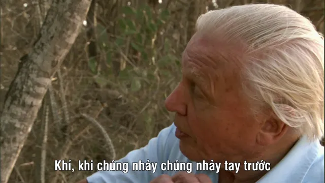 Xem phim Madagascar 2011 Vietsub HD tại PhimMoiHot Xem phim Madagascar 2011 Vietsub HD tại PhimMoiHot