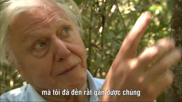 Madagascar 2011 2011 Vietsub HD - PhimMoiHot Madagascar 2011 2011 Vietsub HD - PhimMoiHot