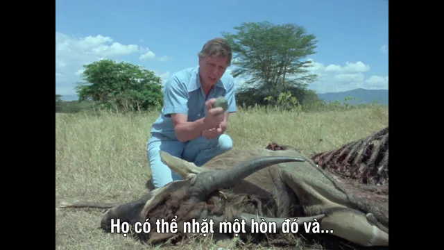 Xem Life on Earth tập 1 Vietsub tại PhimMoiHot Xem Life on Earth tập 1 Vietsub tại PhimMoiHot