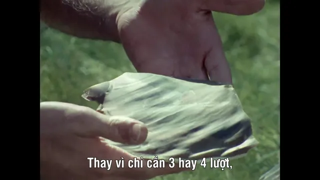 Hình ảnh Life on Earth tập 1 trên PhimMoiHot Hình ảnh Life on Earth tập 1 trên PhimMoiHot