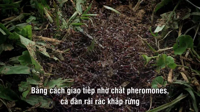 Hình ảnh phim Những Quái Vật Tý Hon trên PhimMoiHot Hình ảnh phim Những Quái Vật Tý Hon trên PhimMoiHot