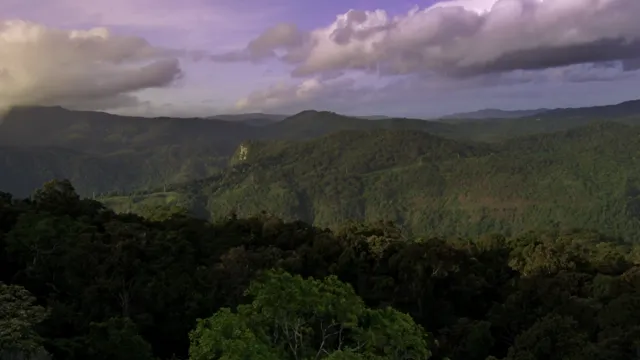 Những Quái Vật Tý Hon 2013 Vietsub HD - PhimMoiHot Những Quái Vật Tý Hon 2013 Vietsub HD - PhimMoiHot
