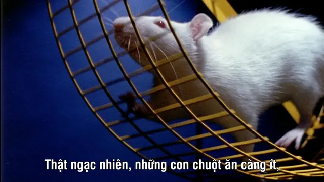Hình ảnh Human Body: Pushing the Limits tập 1 trên PhimMoiHot Hình ảnh Human Body: Pushing the Limits tập 1 trên PhimMoiHot