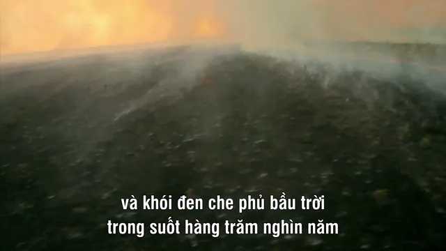Hình ảnh phim How to Grow a Planet trên PhimMoiHot Hình ảnh phim How to Grow a Planet trên PhimMoiHot