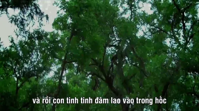 How to Grow a Planet 2012 Vietsub HD - PhimMoiHot How to Grow a Planet 2012 Vietsub HD - PhimMoiHot