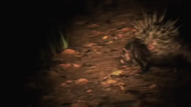 Những Kỳ Quan Của Mùa Mưa 2014 Vietsub HD - PhimMoiHot Những Kỳ Quan Của Mùa Mưa 2014 Vietsub HD - PhimMoiHot