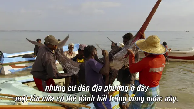 Hành Tinh Màu Xanh Dương 2 tập 3 Vietsub HD - PhimMoiHot Hành Tinh Màu Xanh Dương 2 tập 3 Vietsub HD - PhimMoiHot