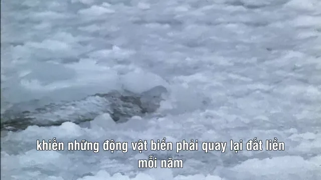 Hành Tinh Màu Xanh Dương tập 1 Vietsub HD - PhimMoiHot Hành Tinh Màu Xanh Dương tập 1 Vietsub HD - PhimMoiHot