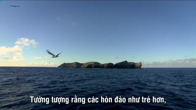 Xem Thiên Nhiên Hoang Dã Hawaii tập 2 Vietsub tại PhimMoiHot Xem Thiên Nhiên Hoang Dã Hawaii tập 2 Vietsub tại PhimMoiHot