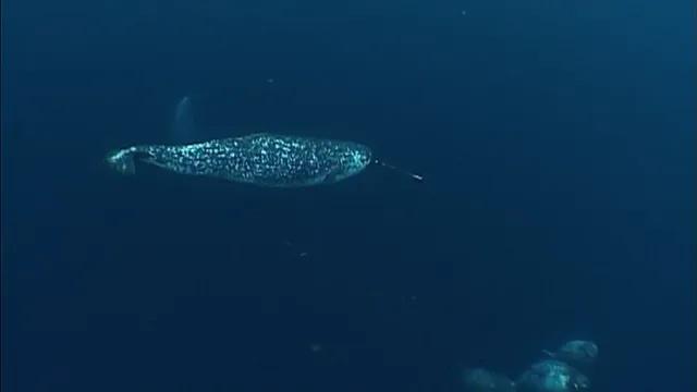 Xem Ocean Giants tập 3 Vietsub tại PhimMoiHot Xem Ocean Giants tập 3 Vietsub tại PhimMoiHot