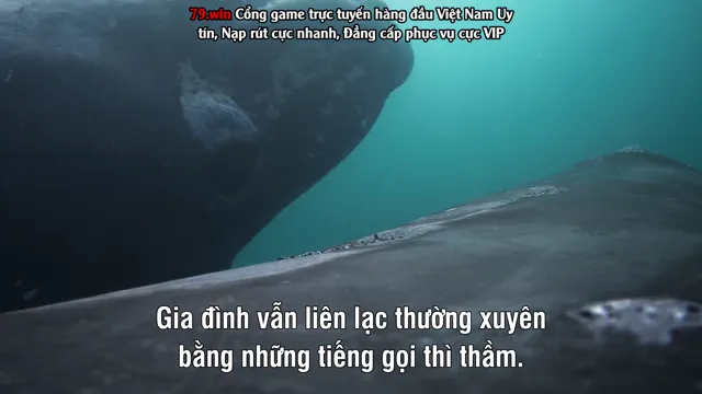 Hình ảnh Hành Tinh Trái Đất 3 tập 6 trên PhimMoiHot Hình ảnh Hành Tinh Trái Đất 3 tập 6 trên PhimMoiHot