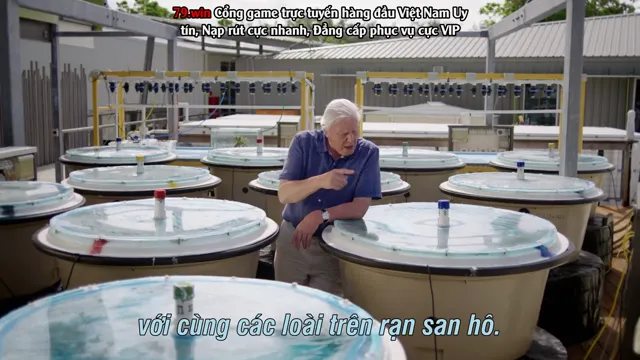 Hình ảnh Khám Phá Rạn San Hô Great Barrier cùng David Attenborough tập 1 trên PhimMoiHot Hình ảnh Khám Phá Rạn San Hô Great Barrier cùng David Attenborough tập 1 trên PhimMoiHot