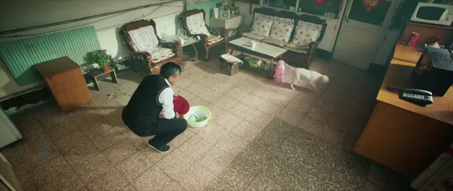 Xem phim Cứu chó Vietsub HD tại PhimMoiHot Xem phim Cứu chó Vietsub HD tại PhimMoiHot