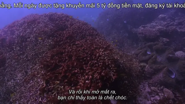 Đi tìm san hô tập 1 Vietsub HD - PhimMoiHot Đi tìm san hô tập 1 Vietsub HD - PhimMoiHot