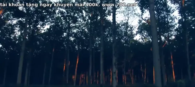 Không có vấn đề 2018 Vietsub HD - PhimMoiHot Không có vấn đề 2018 Vietsub HD - PhimMoiHot