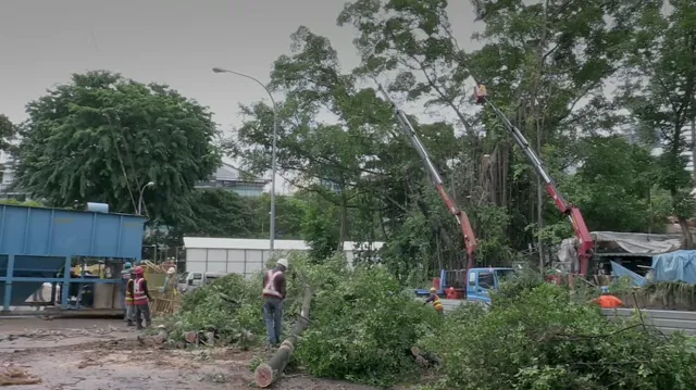 Xem phim Một ngày nào đó ở Singapore Vietsub HD tại PhimMoiHot Xem phim Một ngày nào đó ở Singapore Vietsub HD tại PhimMoiHot