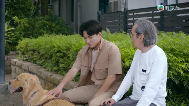 Chó Cưng Của Tôi 2023 Vietsub HD - PhimMoiHot Chó Cưng Của Tôi 2023 Vietsub HD - PhimMoiHot