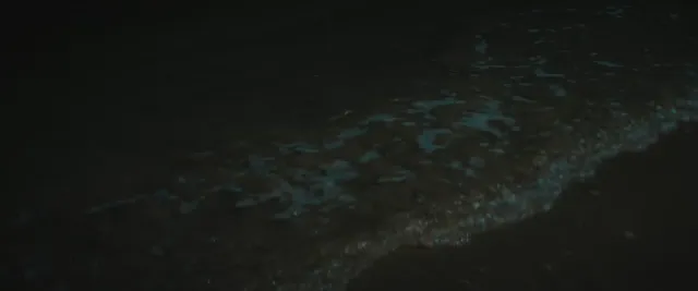 Kinh Doanh Tình Yêu 2025 Vietsub HD - PhimMoiHot Kinh Doanh Tình Yêu 2025 Vietsub HD - PhimMoiHot