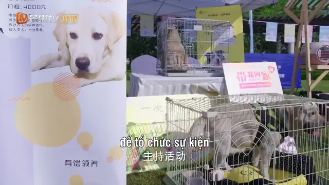 Xem Ngọt Ngào Là Em tập 1 Vietsub tại PhimMoiHot Xem Ngọt Ngào Là Em tập 1 Vietsub tại PhimMoiHot