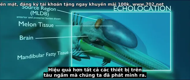 Xem phim Lucy Vietsub HD tại PhimMoiHot Xem phim Lucy Vietsub HD tại PhimMoiHot