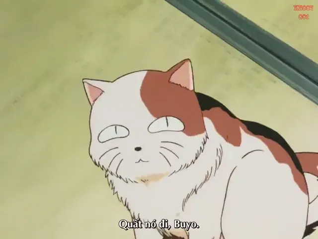 Xem phim Sengoku Otogizōshi InuYasha Vietsub HD tại PhimMoiHot Xem phim Sengoku Otogizōshi InuYasha Vietsub HD tại PhimMoiHot