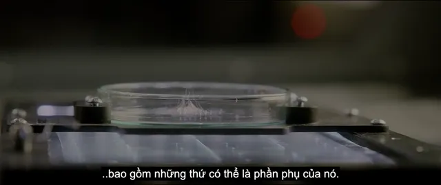 Xem Mầm Sống Hiểm Họa tập 1 Vietsub tại PhimMoiHot Xem Mầm Sống Hiểm Họa tập 1 Vietsub tại PhimMoiHot