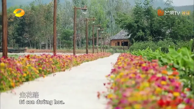 Hình ảnh Hướng Về Cuộc Sống – Mùa 4 tập 7 trên PhimMoiHot Hình ảnh Hướng Về Cuộc Sống – Mùa 4 tập 7 trên PhimMoiHot