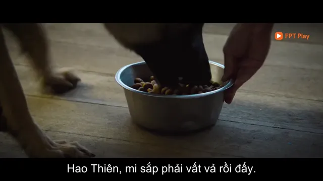 Điệp Vụ Tam Giác Vàng tập 1 Vietsub HD - PhimMoiHot Điệp Vụ Tam Giác Vàng tập 1 Vietsub HD - PhimMoiHot