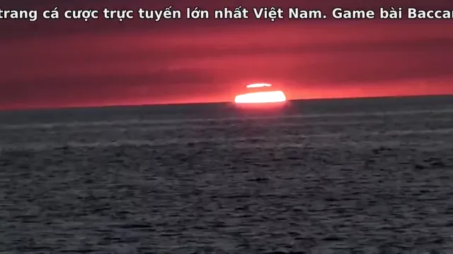 Xem Mồi Cá Mập tập 1 Vietsub tại PhimMoiHot Xem Mồi Cá Mập tập 1 Vietsub tại PhimMoiHot