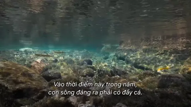 Hình ảnh phim Hành tinh của chúng ta – Hậu trường trên PhimMoiHot